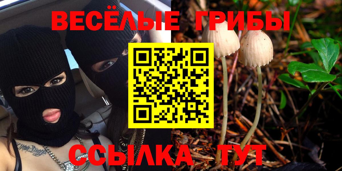 Ипатово  Псилоцибиновые грибы мицелий  Вход с VPN  Псилоцибиновые грибы прущие грибы 