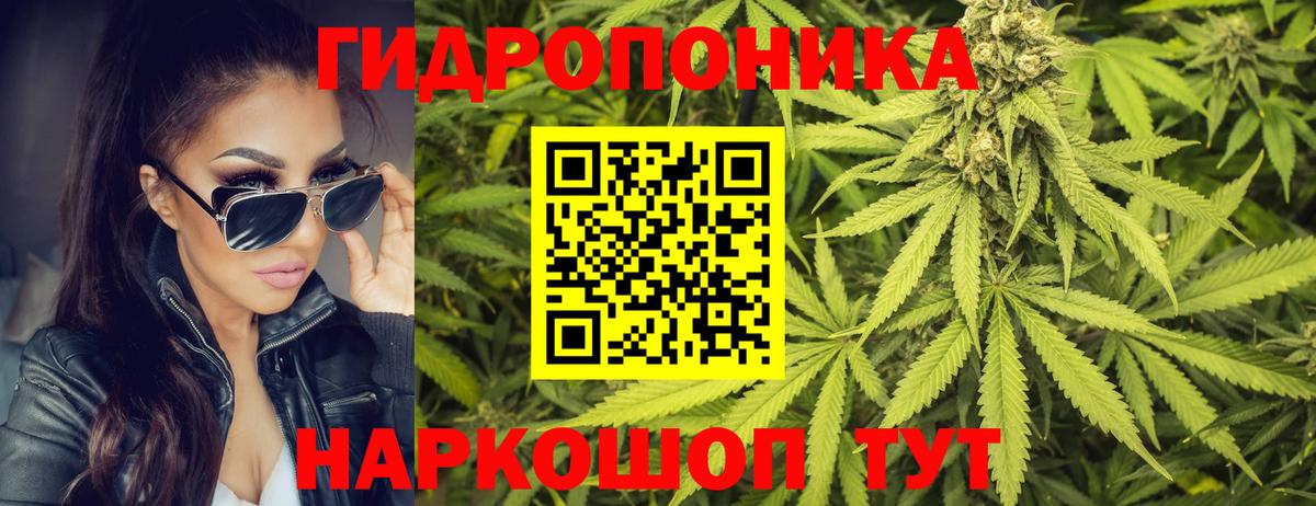 Канабис план Ипатово